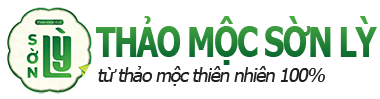 Giảm Cân Tiến Hạnh